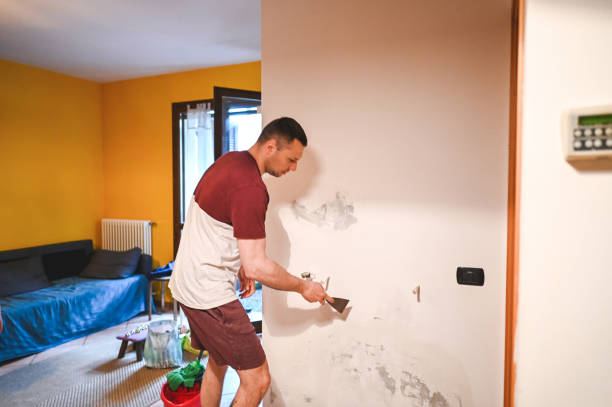 Best Mold Remediation  in Hoopeston, IL